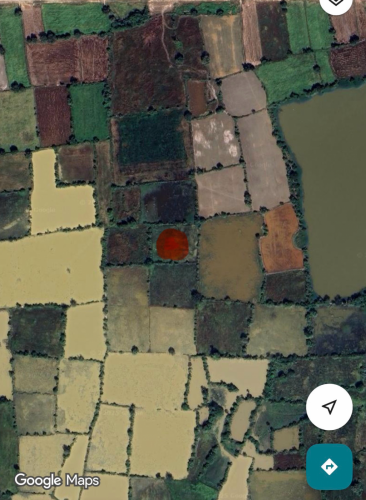 បញ្ចុះតំលៃពី $1M មកត្រឹមតែ $826,000 ដីស្រែក្នុងក្រុង  ភ្នំពេញ សង្កាត់ សាក់សំពៅ 500m ពីផ្លូវ 60m