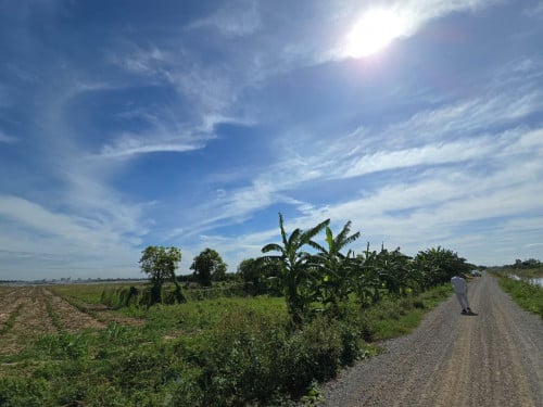 ដីលក់តម្លៃធូរទំហំសរុប 50,894m2 (低价出售土地，总面积50,894平方米)