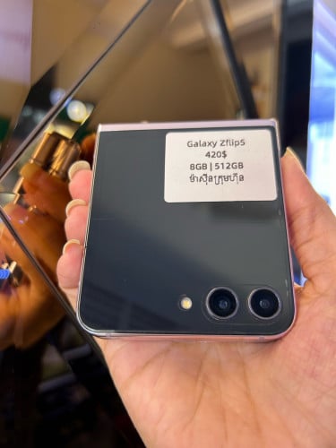 ZFilp5 ក្រុមហ៊ុន (512GB)