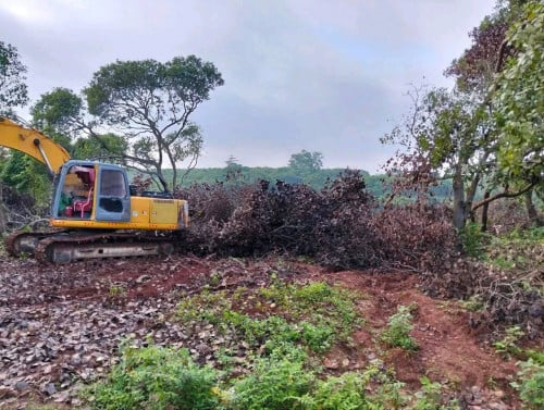 ដីលក់បន្ទាន់