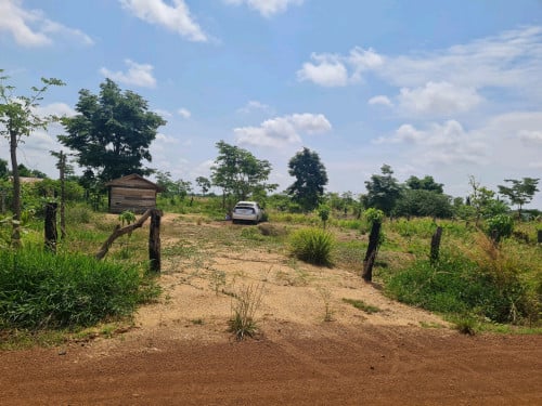 ដីឡូតិ៍ 1000 m2 លក់បន្ទាន់ ស្រុកចុងកាល់ (ម្ចាស់ផ្ទាល់ ចរចារ)