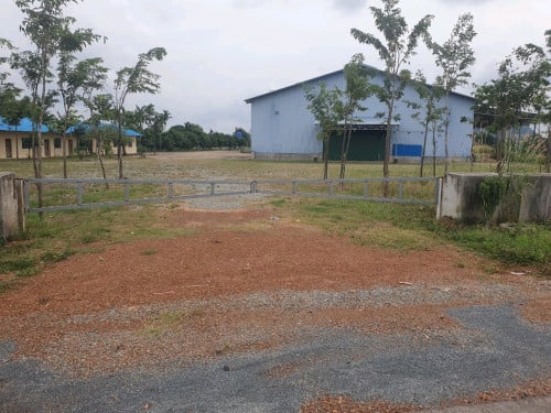 ឃ្លាំងនិងដីលក់បន្ទាន់