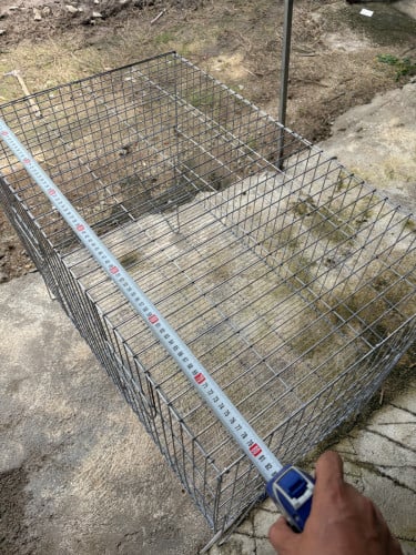 ទ្រុងដាក់ ទន្សាយ បង្កាត់សេក លលក អាវង