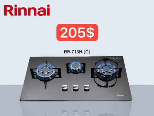 Rinnai RB-713-(G)