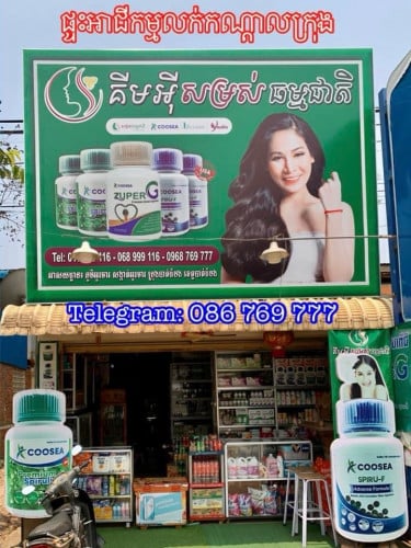 ផ្ទះអាជីវកម្មកណ្តាលក្រុងបាត់ដំបង