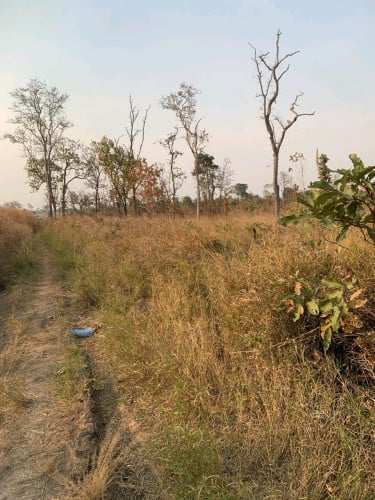 ដីចំការលក់