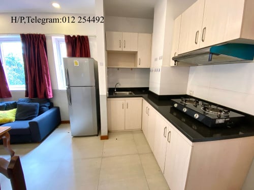 1 Bed 1 Bath Fully Furnished Condo for Rent