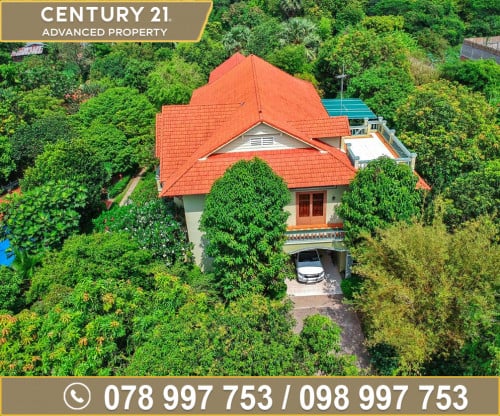 ភូមិគ្រឹះ ក្នុងសង្កាត់វាលស្បូវ(លើផ្លូវបេតុង អូរអំពិល) ខណ្ឌច្បារអំពៅ ត្រូវការលក់បន្ទាន់ខ្លាំង