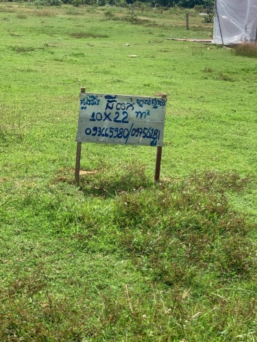 ដីលក់ ក្រោមទីផ្សារ