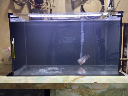 ឈុតទូត្រី 7 តឹក X 3 តឹក (លក់ទាំងត្រី)