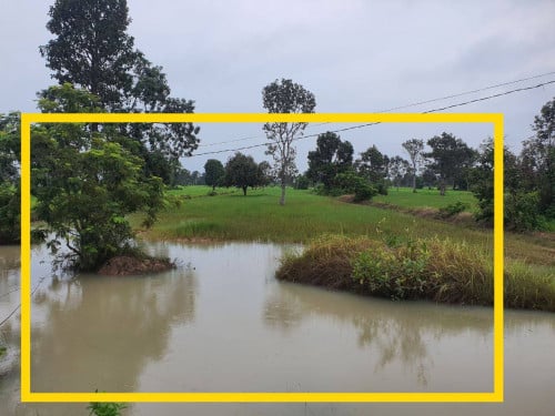 ដីសម្រាប់លក់