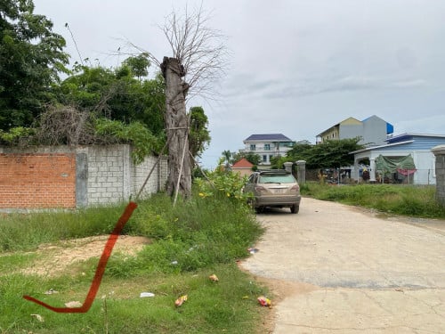 ដីលក់​ប្លង់​រឹង​