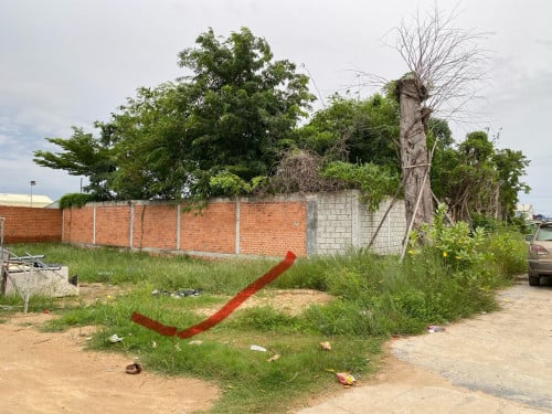 ដីលក់​ប្លង់​រឹង​