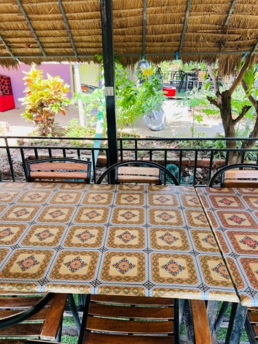 ហាងជួល 500$