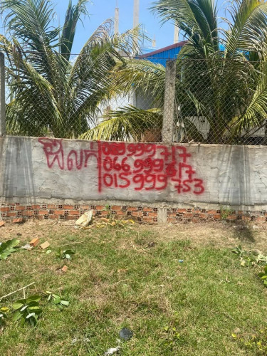 ប្លង់រឹង