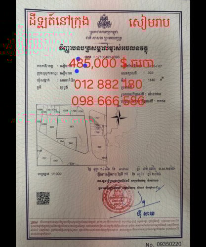 ដីលក់នៅក្រុងសៀមរាប
