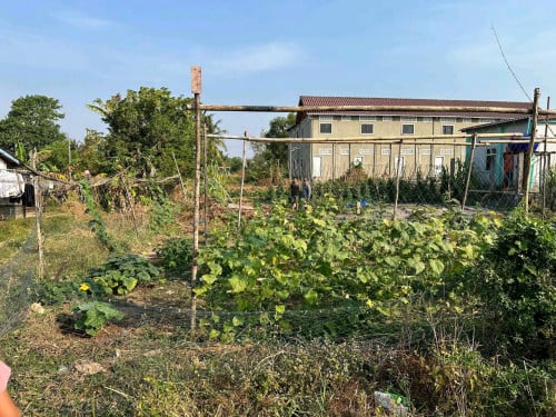 ដីលក់ 5m - 10m