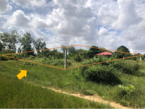 🏠អចលនទ្រព្យ លក់ឡាយឡុង (Auctioned Properties) 🏷