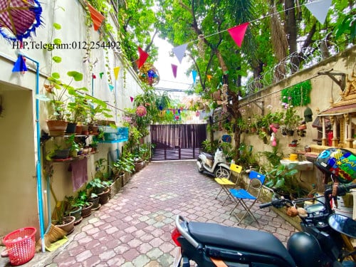 Beautiful Balcony Elevator Apartment for Rent