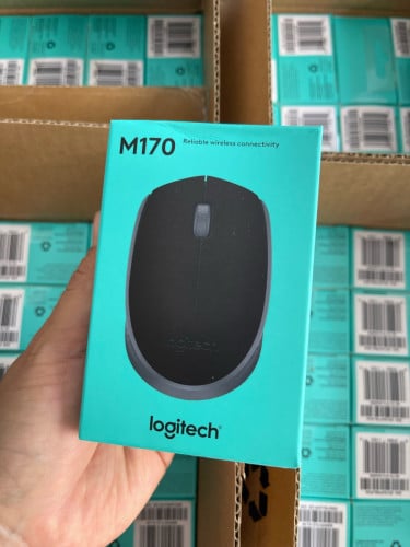 Mouse Wireless Logitech M170