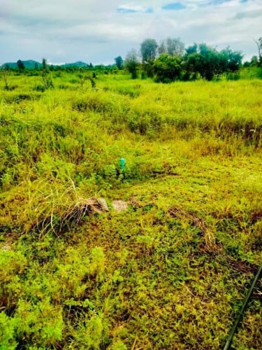 ដីចំការជាប់ស្ទឹងជិតទឹកធ្លាក់ស្រែអំពឹល