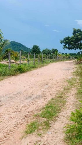 ដីចំការជិតជើងភ្នំ