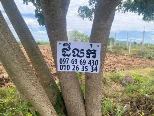 ដីលក់បន្ទាន់