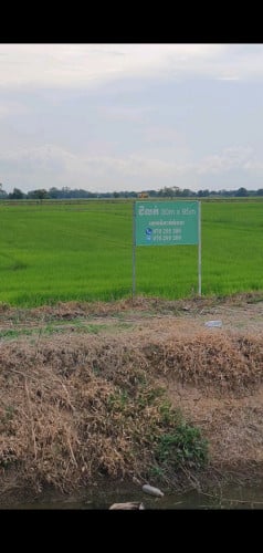 ដីលក់ 30mx93m