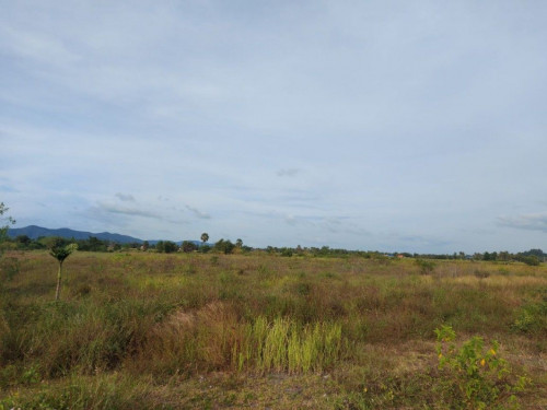๐ แขแ
แแแแแแแแ แแแแกแถแแกแปแ (Auctioned Properties) ๐ท