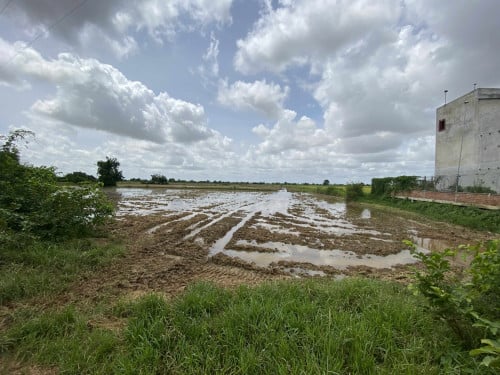 ដីលក់ ទំហំ10000ម៉ែតការ៉េ  ជាប់ផ្ទះត្រជៀកកាំ ចុះពីផ្លូវជាតិ100m  1ហិចតា