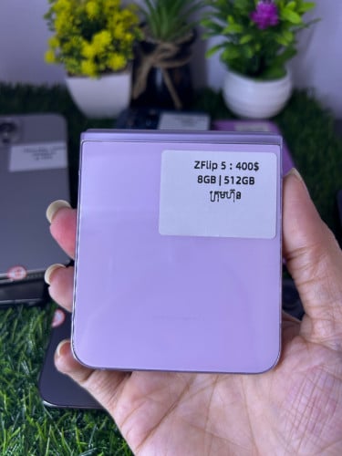 Z Filp5 (512GB) ក្រុមហ៊ុន