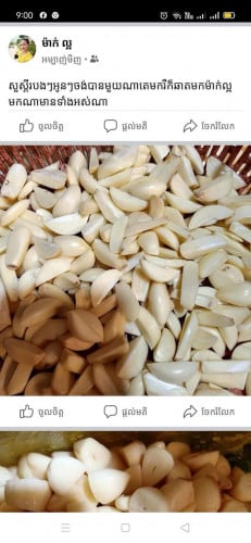 កម្មង់បាន