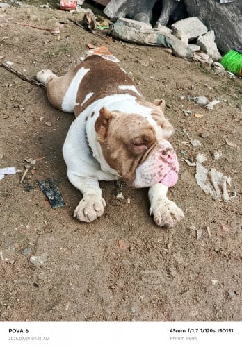 មានទទួលដាក់បាគ្រប់ប្រភេទ