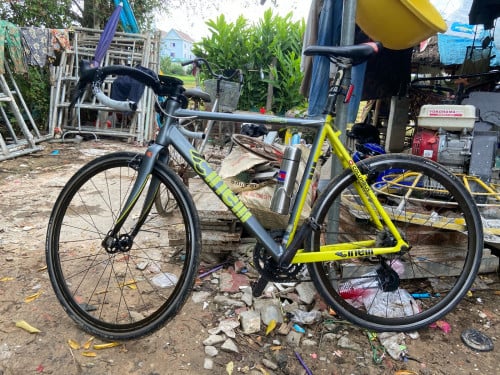 Cineli 2013 brand Zin