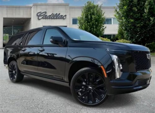 Escalate Cadillac Onyx
