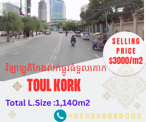 HUGE CORNER VILLA - Toul Kork | វិឡាទីតាំងកែងសម្រាប់អាជីវកម្ - ទួលគោក