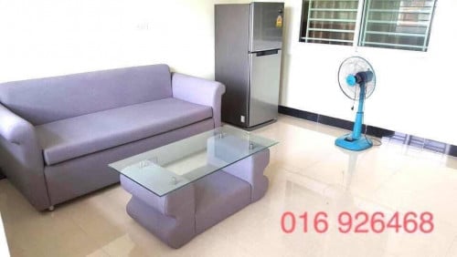 Nice Balcony Fully Finished Apartment for Rent