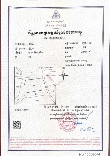 ដីលក់ (1ការ៉េ $10)