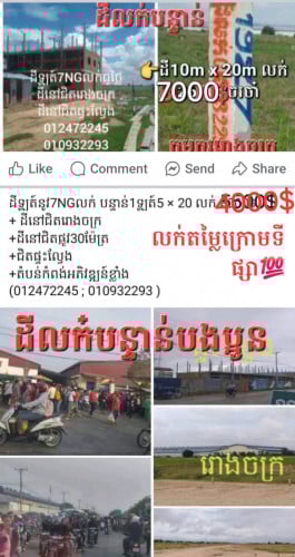 ដីលក់ឡៃឡុងបន្ទាន់