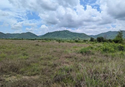 ដីលក់បន្ទាន់ ជាប់ផ្លូវលេខ 43ឃុំត្រែងត្រយឹងស្រុកភ្នំស្រួចខេត្តកំពង់ស្ពឺ