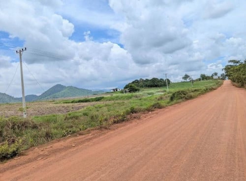 ដីលក់បន្ទាន់ ជាប់ផ្លូវលេខ 43ឃុំត្រែងត្រយឹងស្រុកភ្នំស្រួចខេត្តកំពង់ស្ពឺ