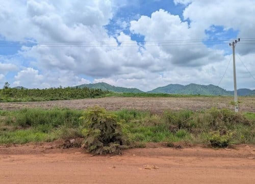 ដីលក់បន្ទាន់ ជាប់ផ្លូវលេខ 43ឃុំត្រែងត្រយឹងស្រុកភ្នំស្រួចខេត្តកំពង់ស្ពឺ