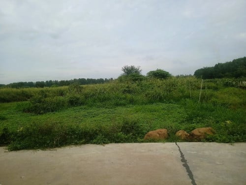 🏦Land Available for Urgent Sale at a Special Price (Negotiable).