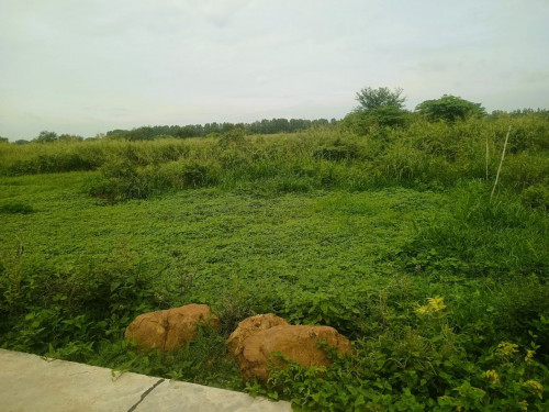 ๐ฆLand Available for Urgent Sale at a Special Price (Negotiable).