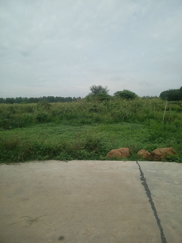 ๐ฆLand Available for Urgent Sale at a Special Price (Negotiable).