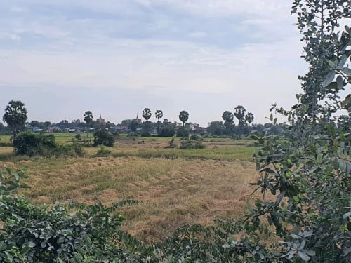 លក់ដីស្រែក្បែររោងចក្រ