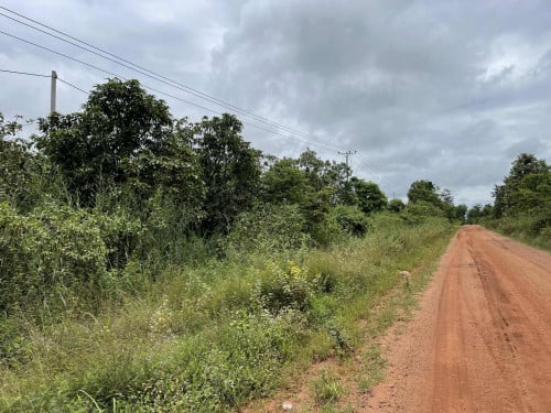 ចំការ​ស្វាយ​