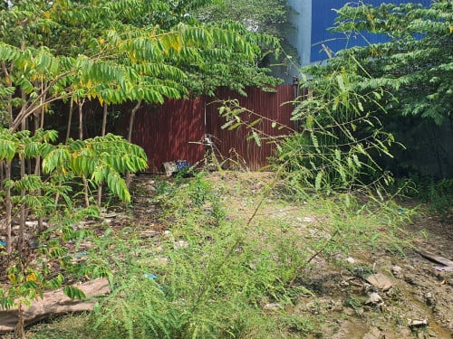 ដីស្អាតក្នុងក្រុង