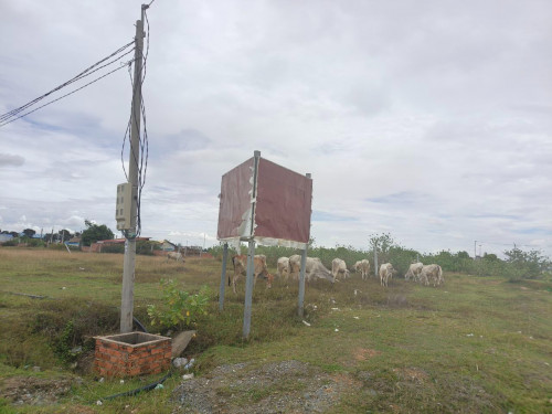 Land Size: 15m x 20m