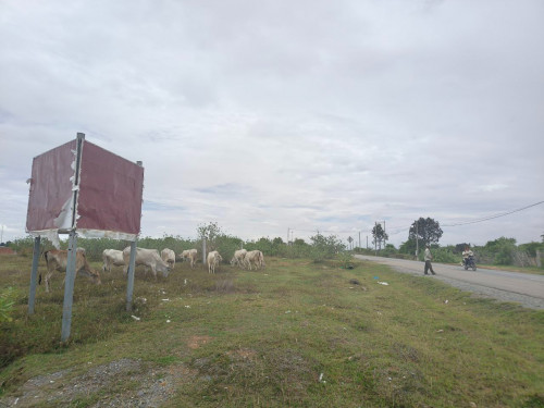 Land Size: 15m x 20m